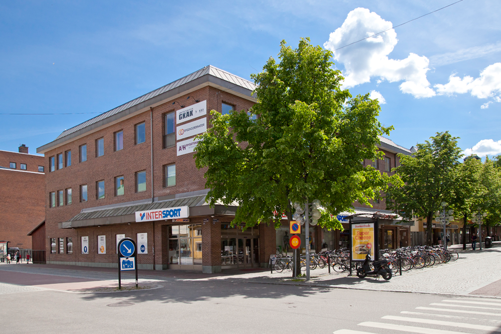 storg15